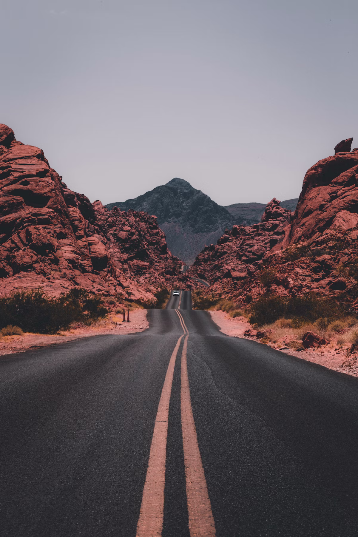 Quiet road winding through a sunlit coastal landscape